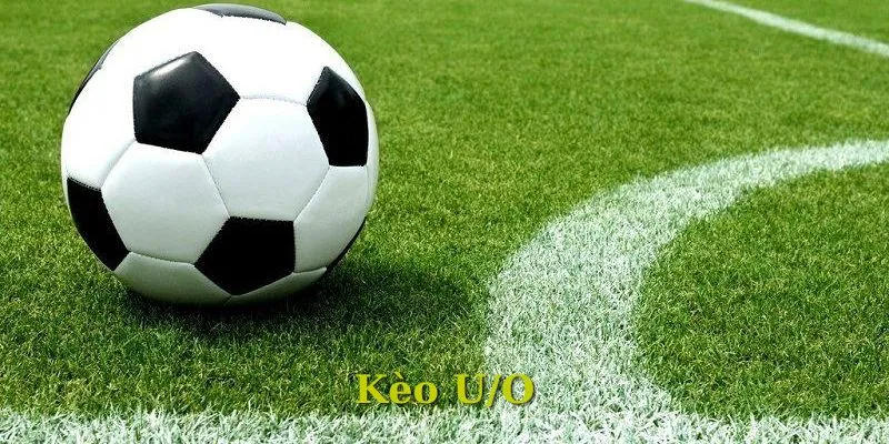 Kèo U/O cực dễ chơi cho mọi thành viên 789WIN