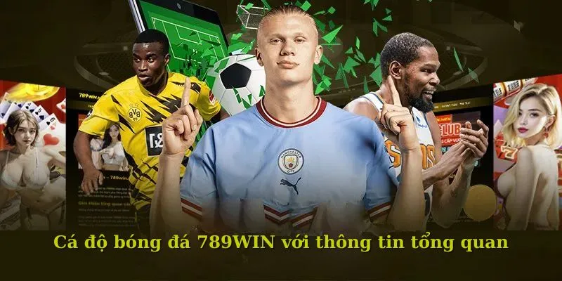 Cá độ bóng đá 789WIN mang lại không gian giải trí hấp dẫn