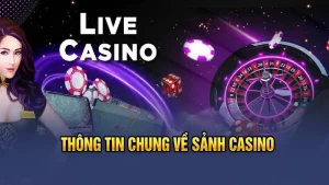 Live casino 789win
