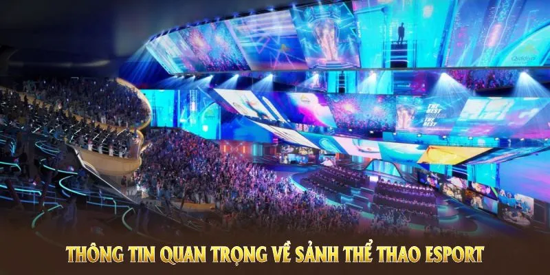 Các thông tin quan trọng về sảnh thể thao Esport 789WIN