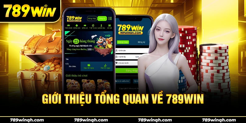 Giới thiệu tổng quan về nhà cái 789WIN